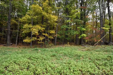 Tbd Grove St, Cario, NY 12413