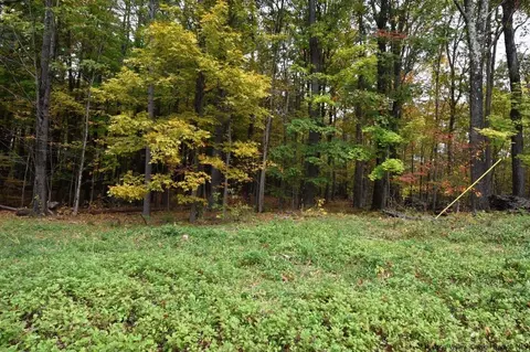 tbd Grove St, Cairo, NY 12413