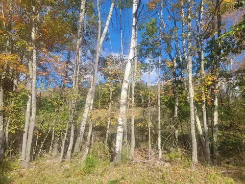 0 Grinnell Rd, Windham, NY 12468 photo 3