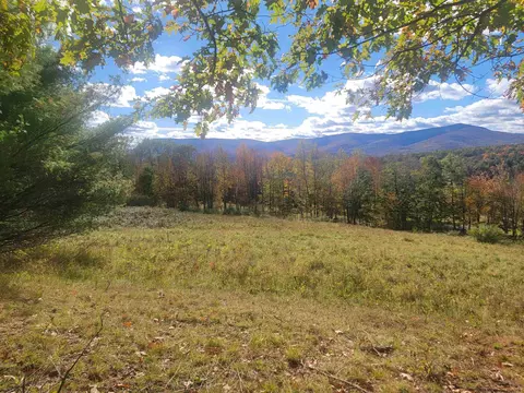 0 Grinnell Rd, Windham, NY 12468 photo 5