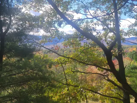 0 Grinnell Rd, Windham, NY 12468 photo 7
