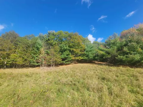 0 Grinnell Rd, Windham, NY 12468 photo 14