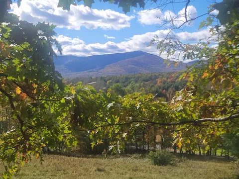 0 Grinnell Rd, Windham, NY 12468