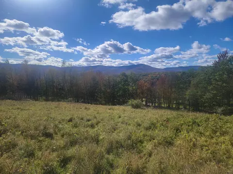 0 Grinnell Rd, Windham, NY 12468 photo 8