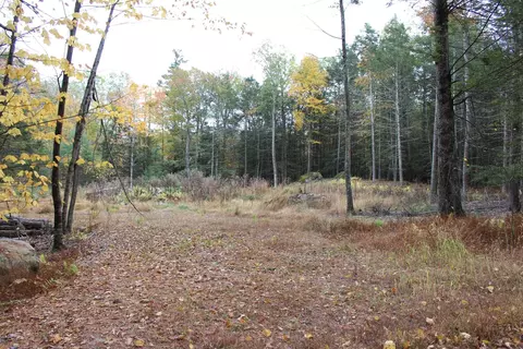 Tbd Bear Hill #PRIVATE RD, Stone Ridge, NY 12484