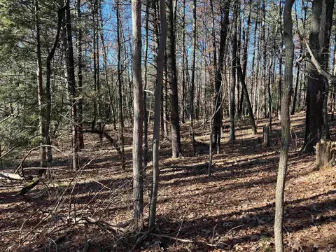 20 Schneider Ln, Ruby, NY 12449 photo 5