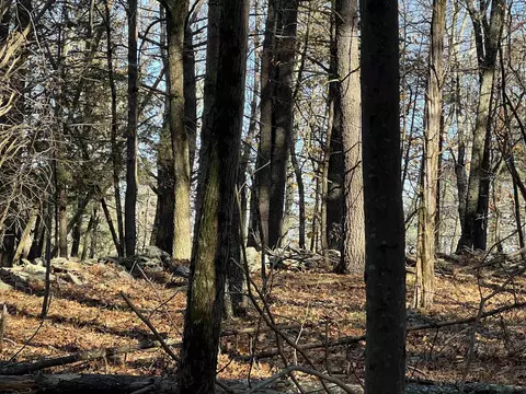 20 Schneider Ln, Ruby, NY 12449 photo 6
