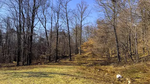 9 Red Rock Rd, Wawarsing, NY 12489