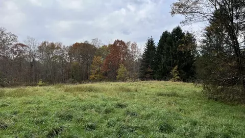 tbd Forest Gln, New Paltz, NY 12561