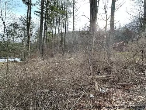 tbd Garfield Rd, Phoenicia, NY 12464
