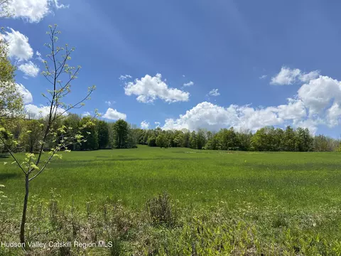 164 Ray Cottone Rd, Roxbury, NY 12474