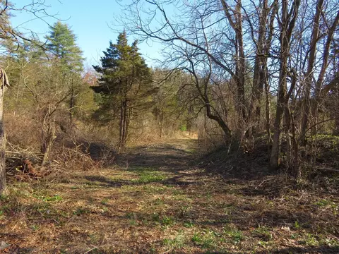 tbd Dewitt Mills Rd, Hurley, NY 12443