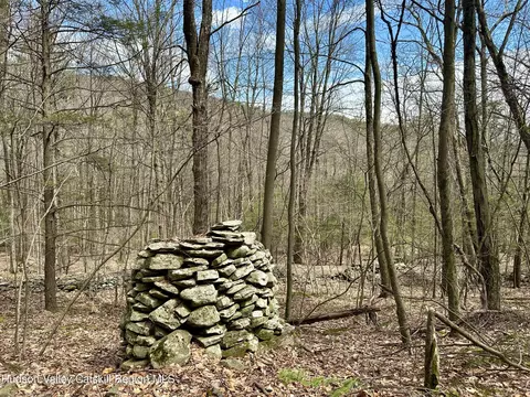 0 Lot Jonet Ln, Bearsville, NY 12409