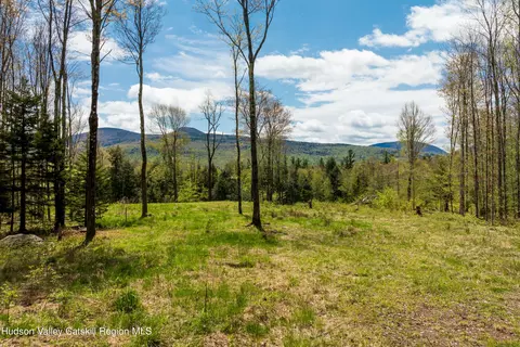 tbd 1 Legg Rd, Hunter, NY 12442
