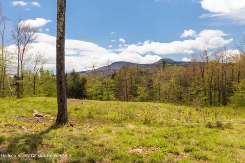 tbd 2 Legg Rd, Hunter, NY 12442