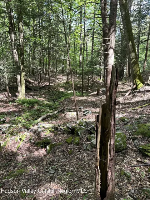 tbd Irish Cape Rd, Napanoch, NY 12458