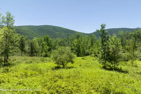 201 Cloos Rd, Jewett, NY 12444