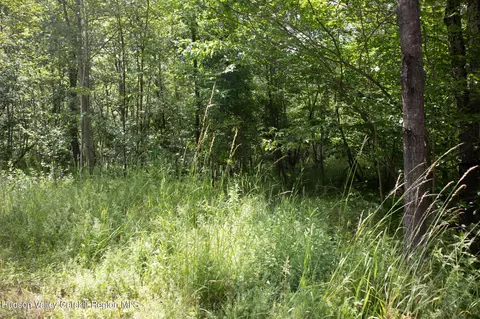 tbd Nauvoo Rd, Windham, NY 12496 photo 4