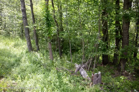 tbd Nauvoo Rd, Windham, NY 12496 photo 3