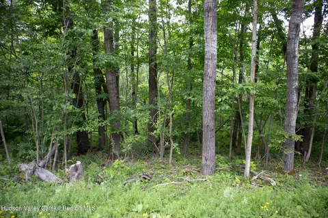 tbd Nauvoo Rd, Windham, NY 12496
