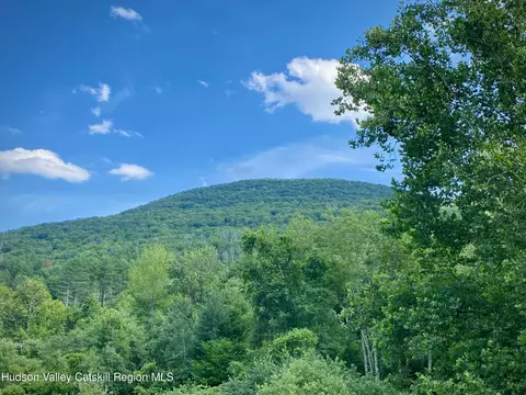 Other - 4629 Route 212, Willow, NY 12495 photo 9 of 13