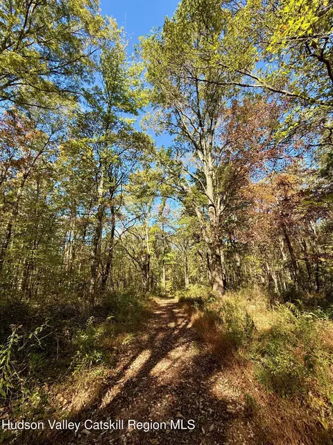 tbd Bruynswick Rd, Wallkill, NY 12589 photo 9