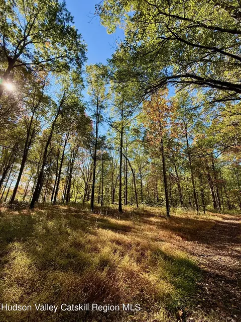 tbd Bruynswick Rd, Wallkill, NY 12589 photo 2
