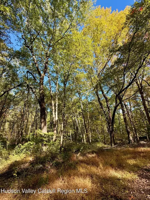 tbd Bruynswick Rd, Wallkill, NY 12589 photo 7