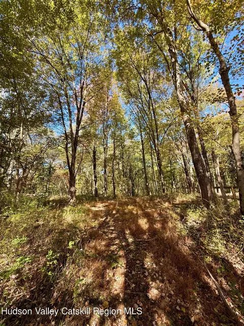 tbd Bruynswick Rd, Wallkill, NY 12589 photo 13