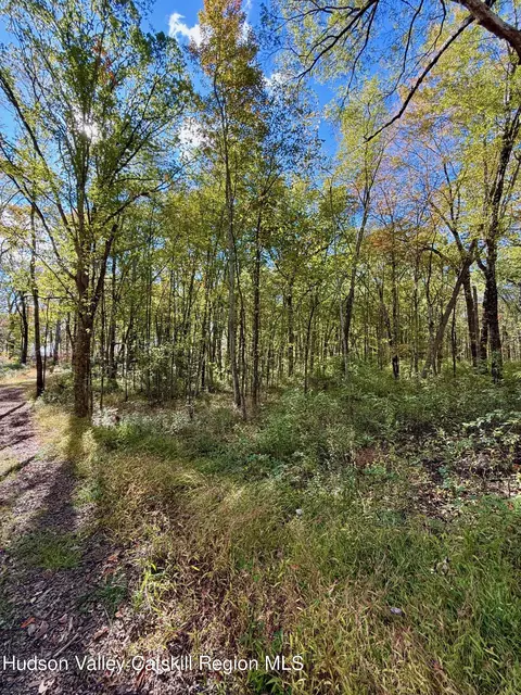tbd Bruynswick Rd, Wallkill, NY 12589 photo 14