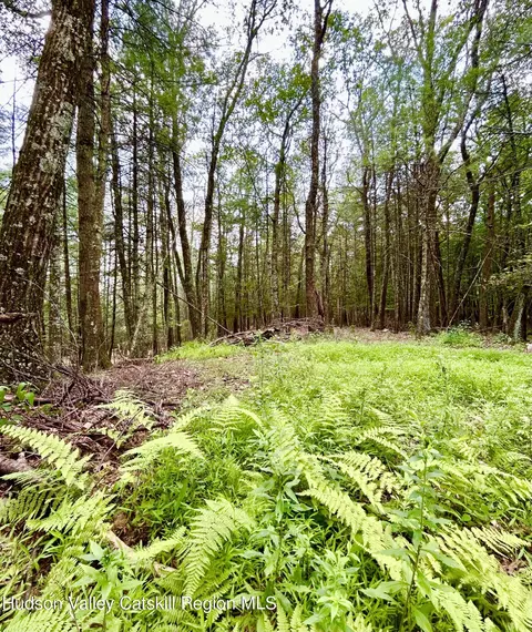 tbd Laurel Ln, Saugerties, NY 12477