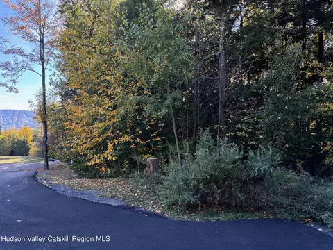 tbd Hollow View Rd, Windham, NY 12496