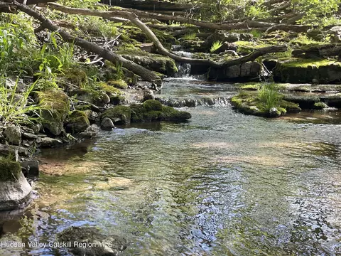 75 Tool House Rd, Catskill, NY 12414