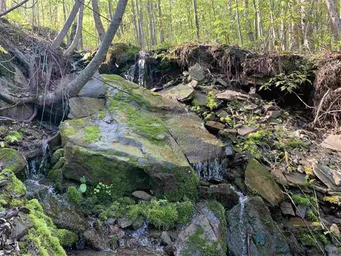 lot14 John B Hewitt Spur, Roxbury, NY 12474