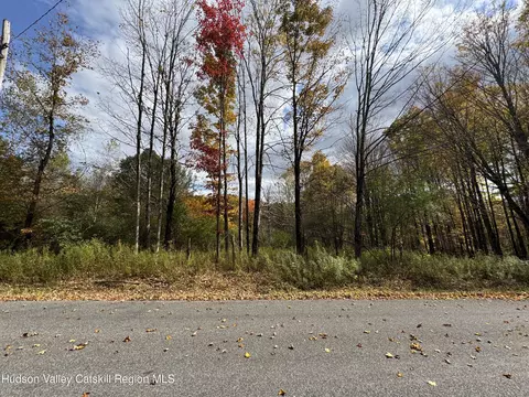 0 Wade Rd, Liberty, NY 12754