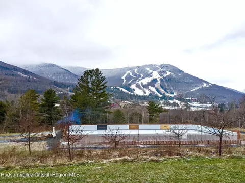 45 Scribner Holw # A5, Hunter, NY 12442 photo 26