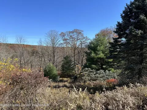 41 Inn Rd, Cragsmoor, NY 12566