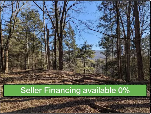 0 Lundy Rd, Wawarsing, NY 12489