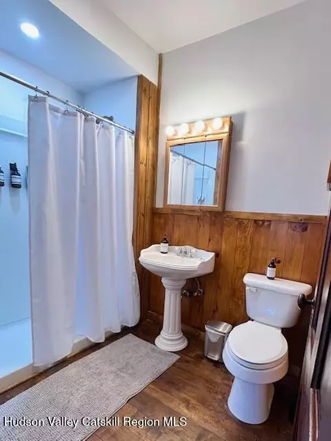 42 Schoonmaker, Haines Falls, NY 12436 photo 7