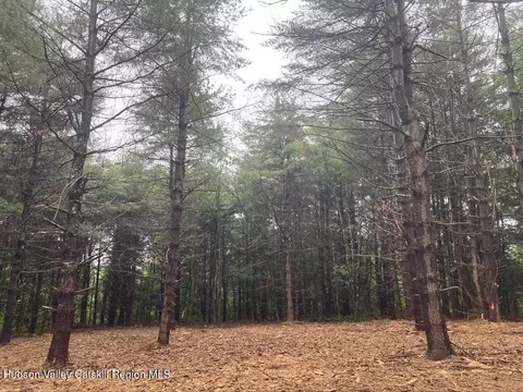 lot6 County Rte 51, Coxsackie, NY 12051