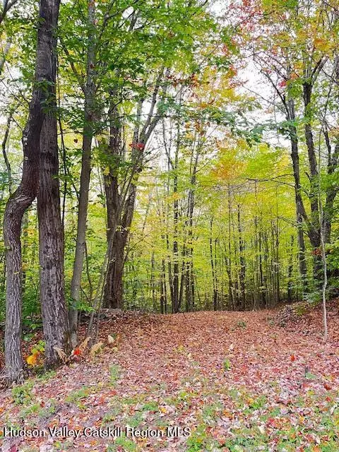 tbd Alpine Dr, Bovina, NY 13740