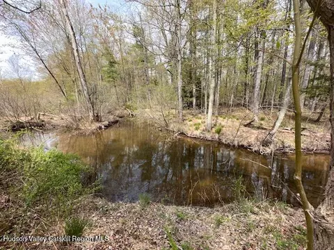View/Area - 276 Silver Spur Rd E, Cairo, NY 12413 photo 1 of 1