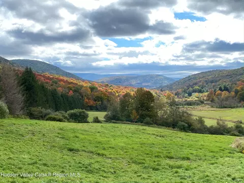 tbd Dimmick Mountain Rd, Denver, NY 12421