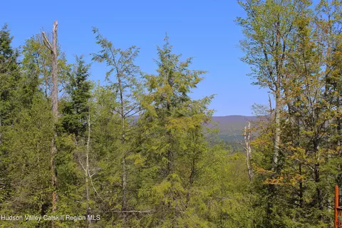 3 Rockledge Rd, Windham, NY 12496 photo 7