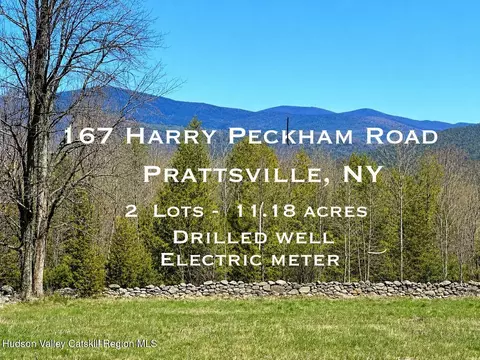 167 Harry Peckham Rd, Prattsville, NY 12468