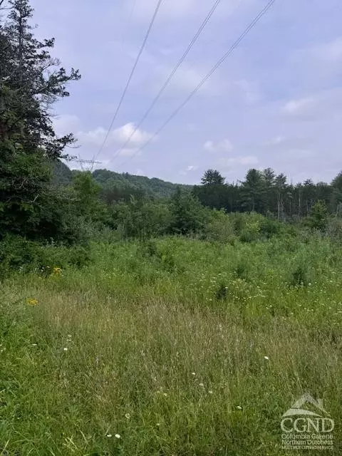 597 Vosenkill Rd, Athens, NY 12015