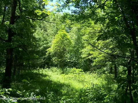 tbd Van Nostrand Rd, New Paltz, NY 12561