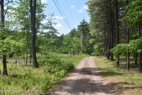 tbd Anthony, Cairo, NY 12413