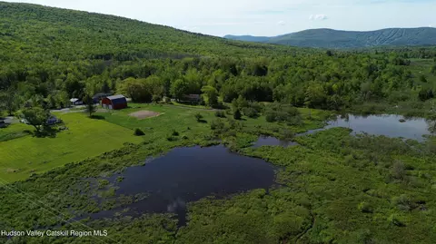 Other - 769 Mitchell Hollow Rd, Windham, NY 12496 photo 10 of 11