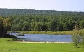 View/Area - 20 Slater Rd, Windham, NY 12496 photo 5 of 5